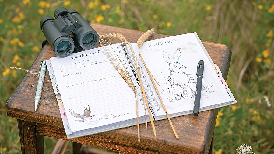 Блокнот с зарисовками Ханны Дейл