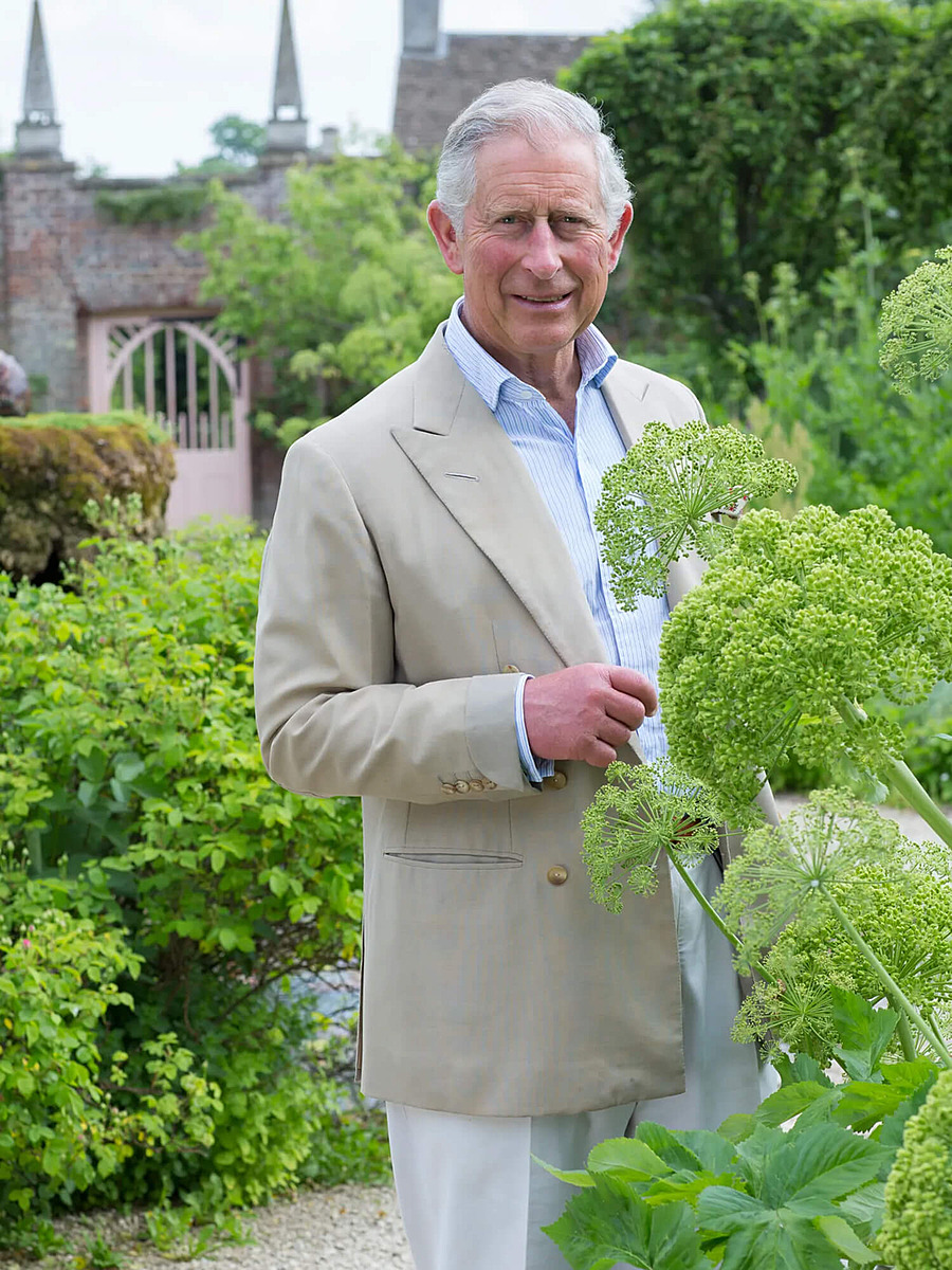 Король Чарльз