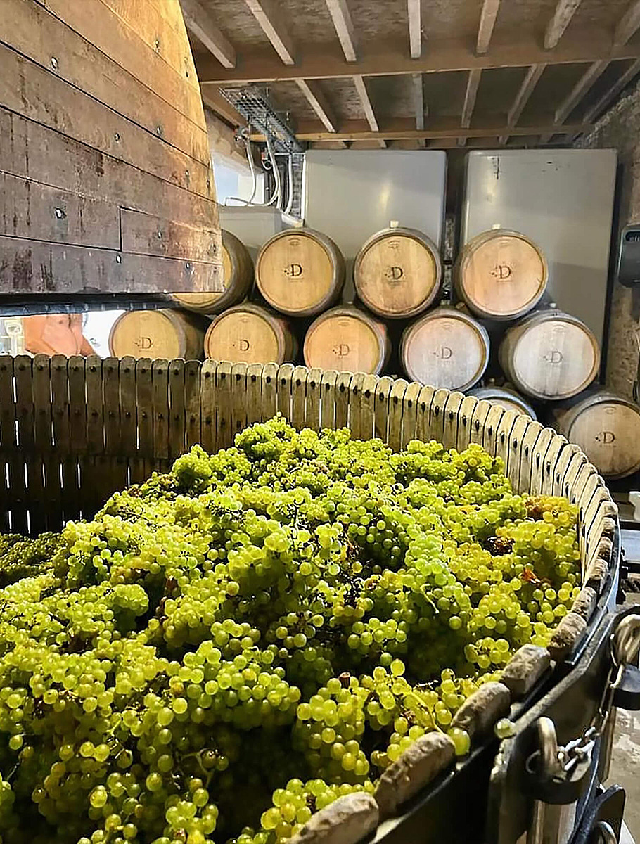 Пресс для винограда