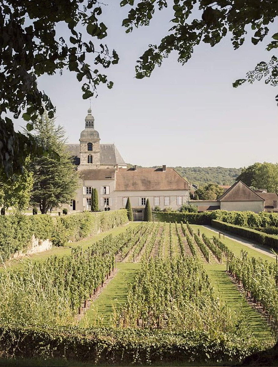 Монастырь Пьера Периньона и поля винограда