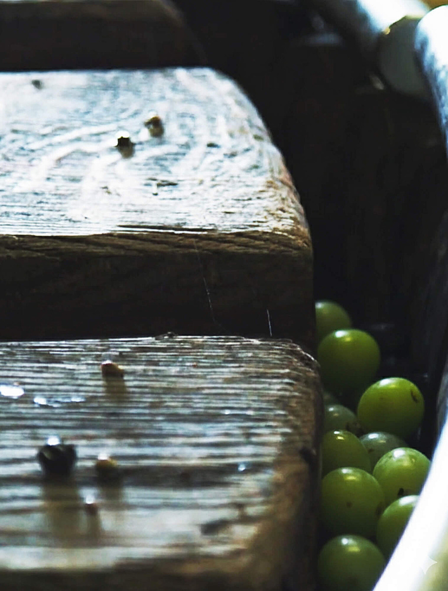 Пресс для винограда