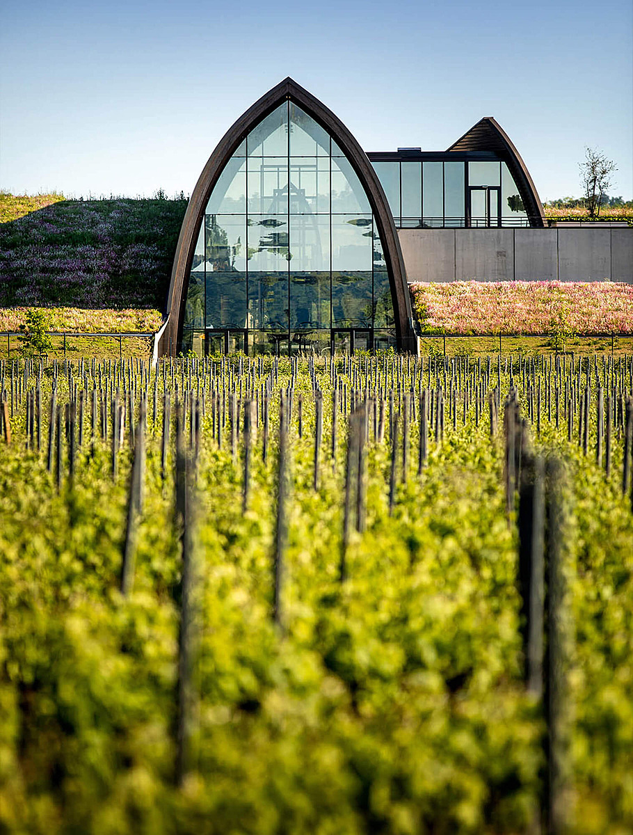 Современная винодельня