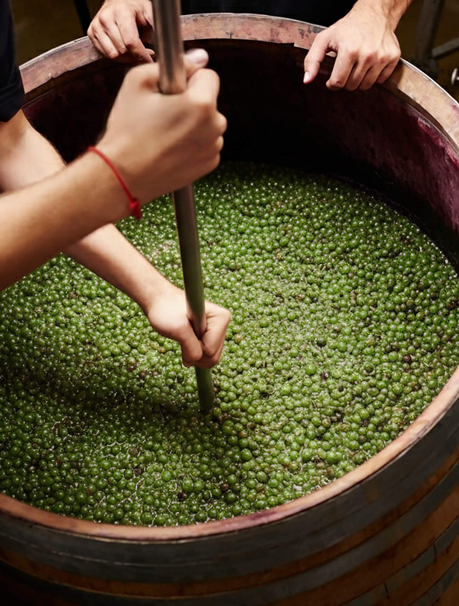 Перемешивание винограда