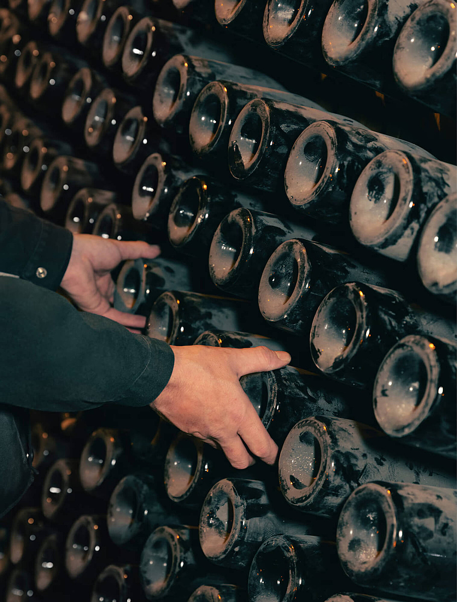 Хранилище бренда Veuve Clicquot