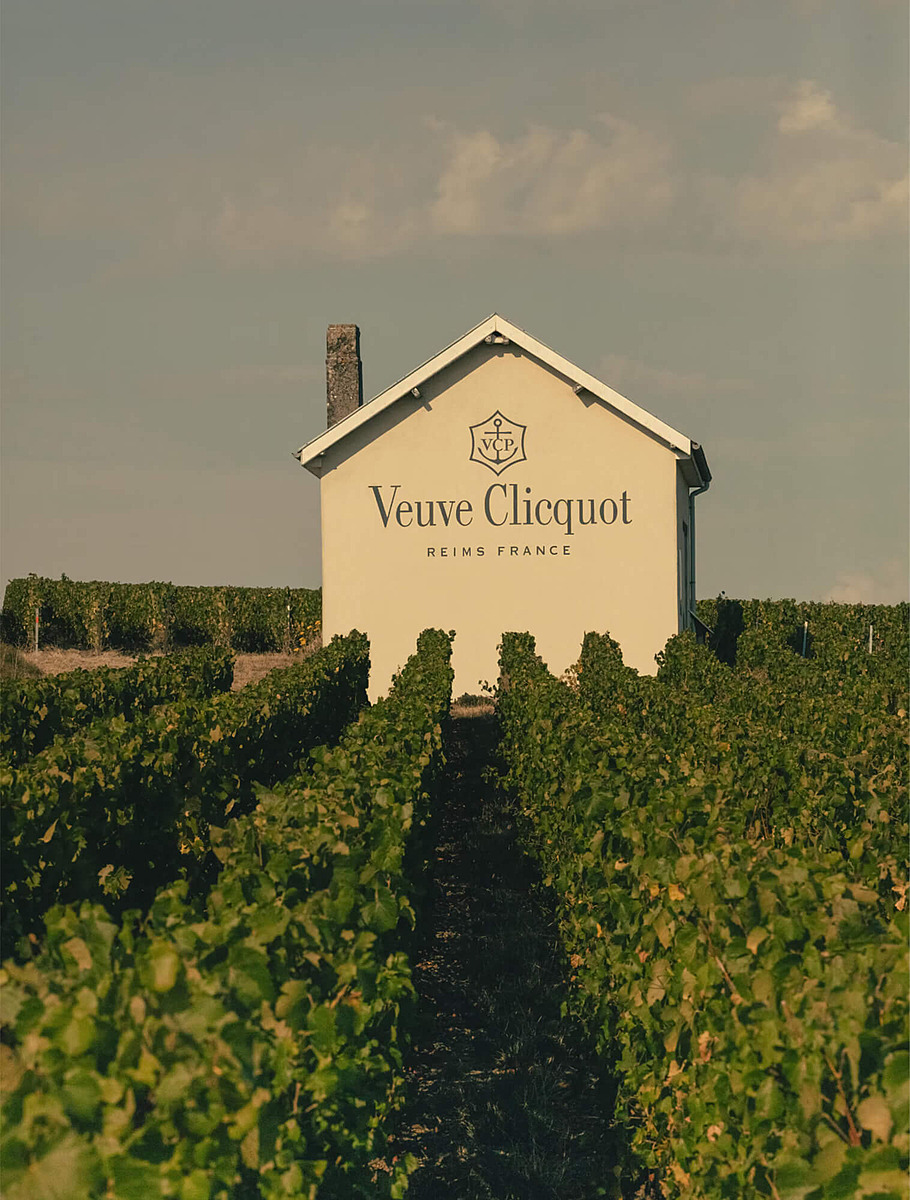 Поля Veuve Clicquot