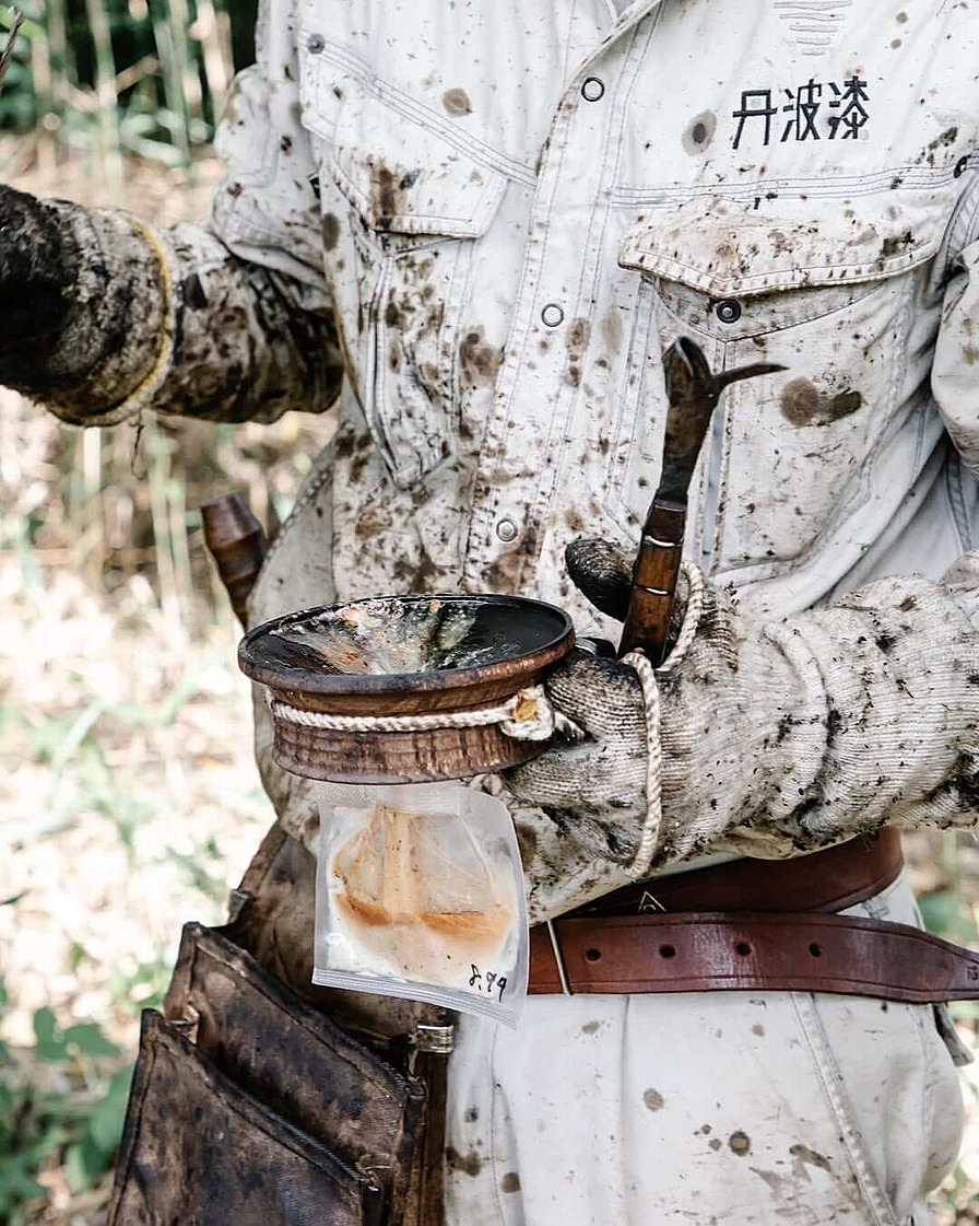 Свежий сок уруси чрезвычайно токсичен, его собирают в защитных костюмах.