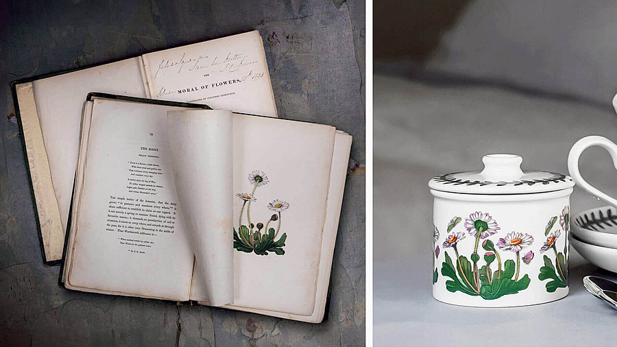 Универсальный Гербарий Томаса Грина; сахарница из коллекции Botanic Garden