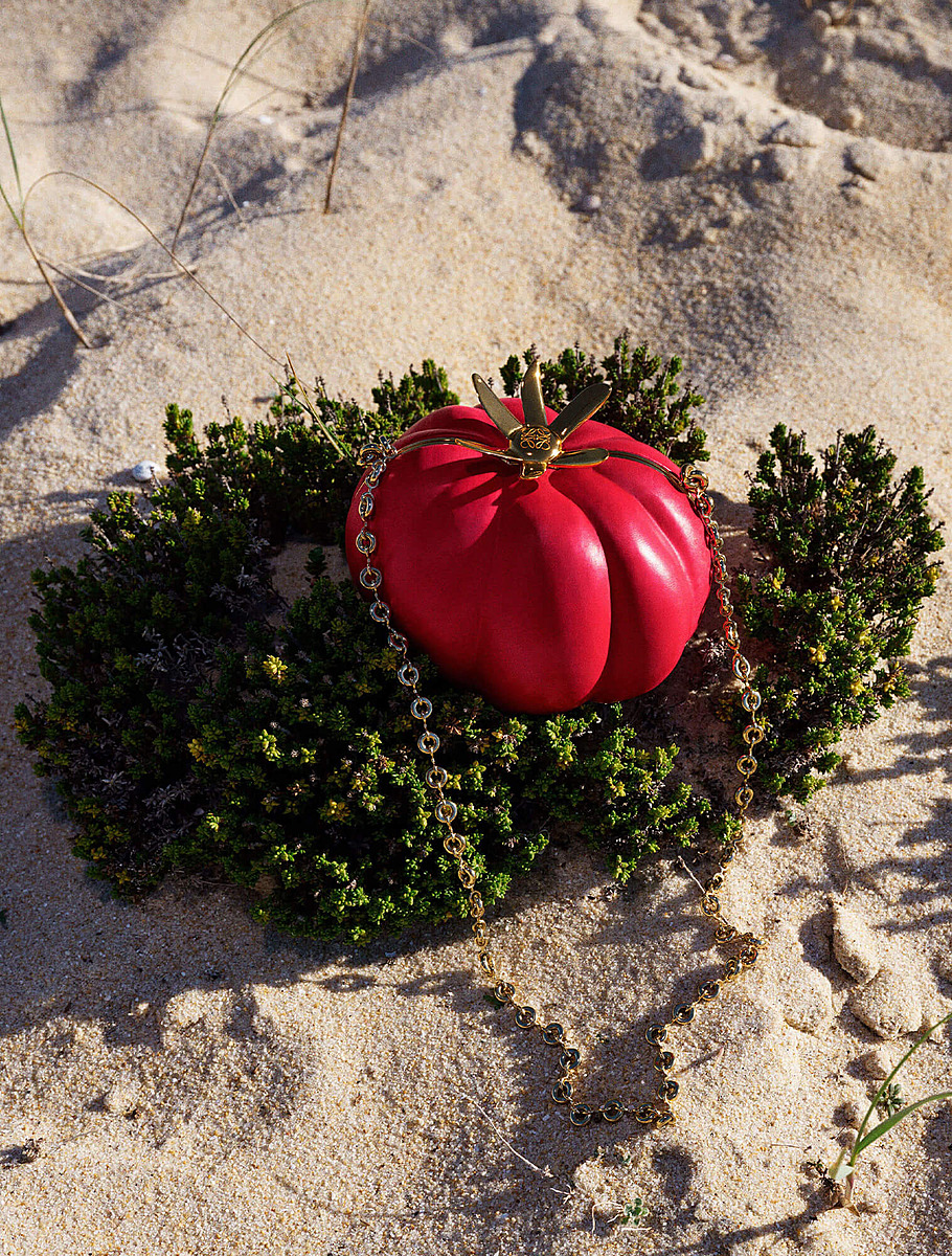 Сумка Tomato Clutch от Loewe