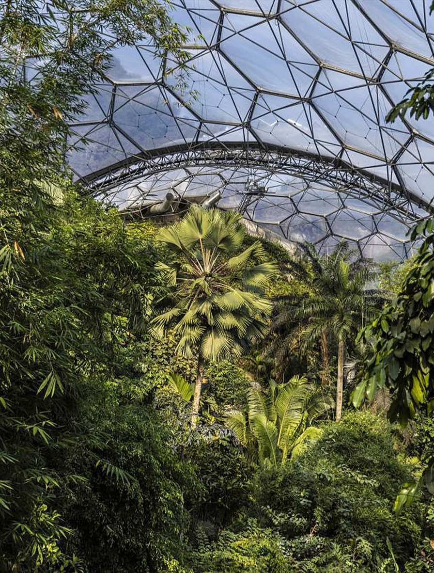 Eden Project («Проект Эдем»)