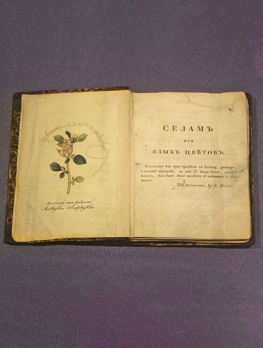Книга «Селам, или Язык цветов»