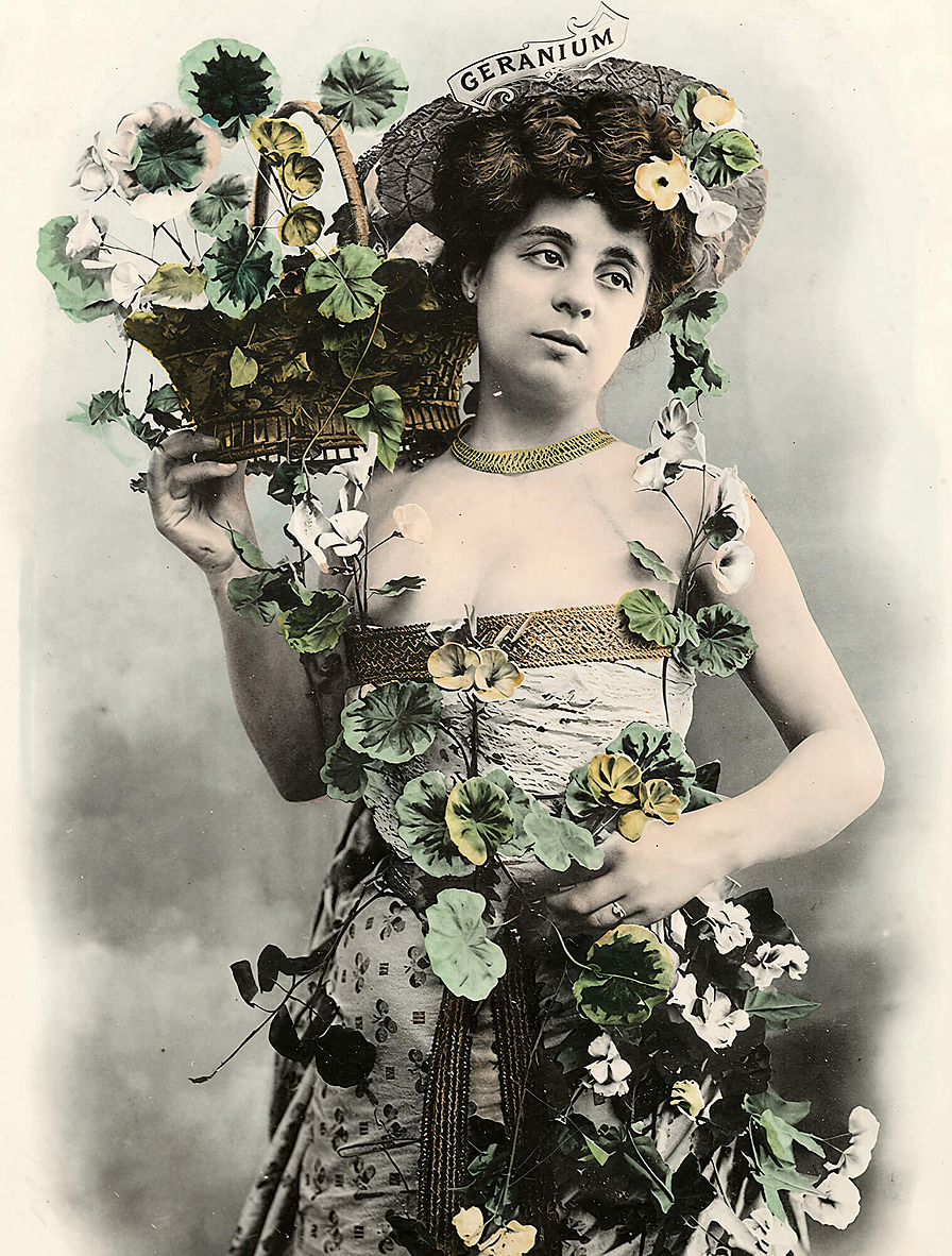 Открытка из серии «Язык цветов»