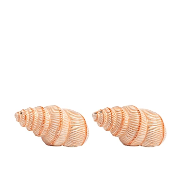 Набор из солонки и перечницы Shell, 9,5x4 см