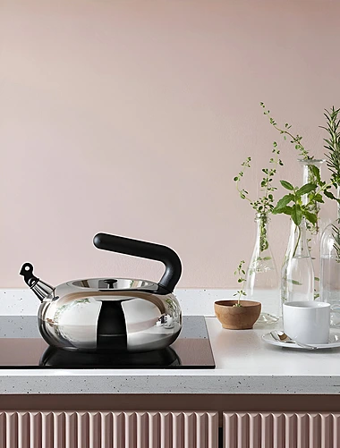 Чайник для плиты со свистком Bulbul, 2,5 л