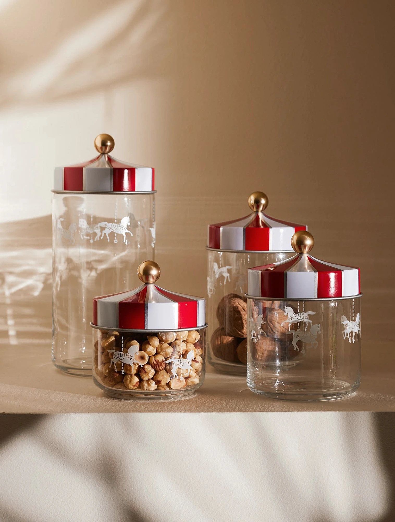 Ёмкость для хранения сыпучих продуктов Circus, 500 мл