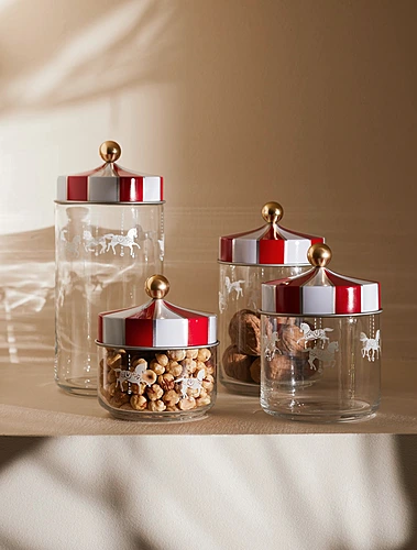 Ёмкость для хранения сыпучих продуктов Circus, 500 мл