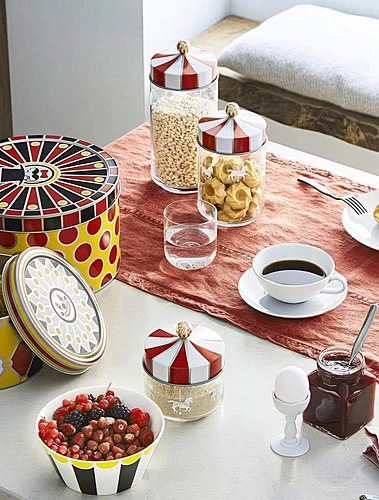 Ёмкость для хранения сыпучих продуктов Circus, 500 мл