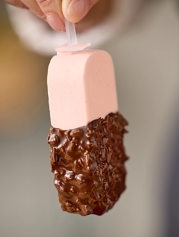 Форма для мороженого Ice Cream & Chocolate, 4 ячейки, 26х15 см от Blomsterbergs