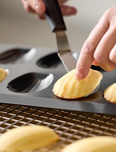 Форма для выпечки печенья Cookies & Muffins, 12 ячеек, 40х23 см