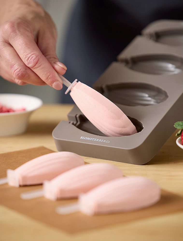 Форма для мороженого Ice Cream & Chocolate, 4 ячейки, 26х15 см от Blomsterbergs