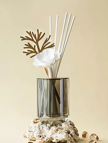 Ароматический диффузор Starry Dreams Seaside, 100 мл