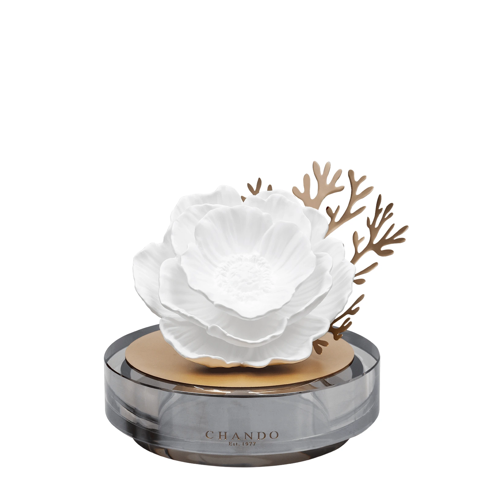 Ароматический диффузор Starry Dreams Sea Anemones, 100 мл