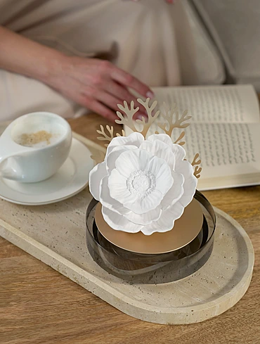 Ароматический диффузор Starry Dreams Sea Anemones, 100 мл