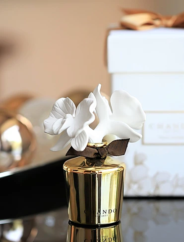 Ароматический диффузор Myst Mini Amethyst Love, 40 мл