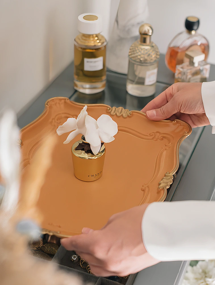 Ароматический диффузор Myst Mini Amethyst Love, 40 мл от Chando