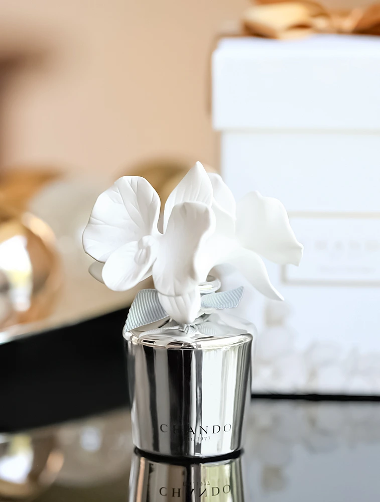 Ароматический диффузор Myst Mini Amethyst Love, 40 мл от Chando