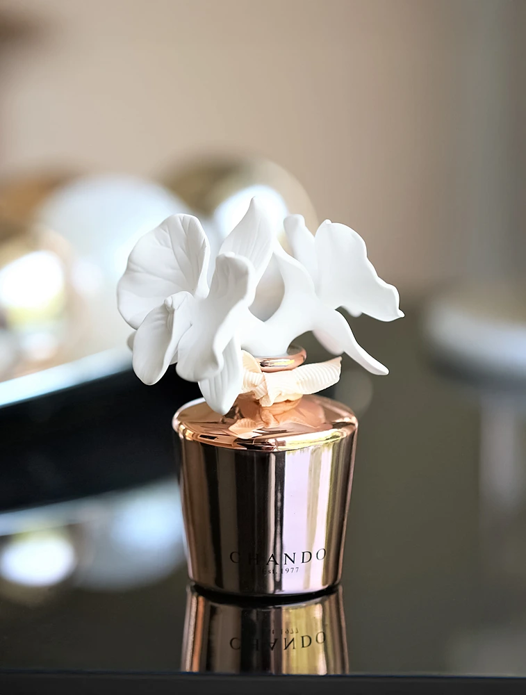 Ароматический диффузор Myst Mini Amethyst Love, 40 мл от Chando