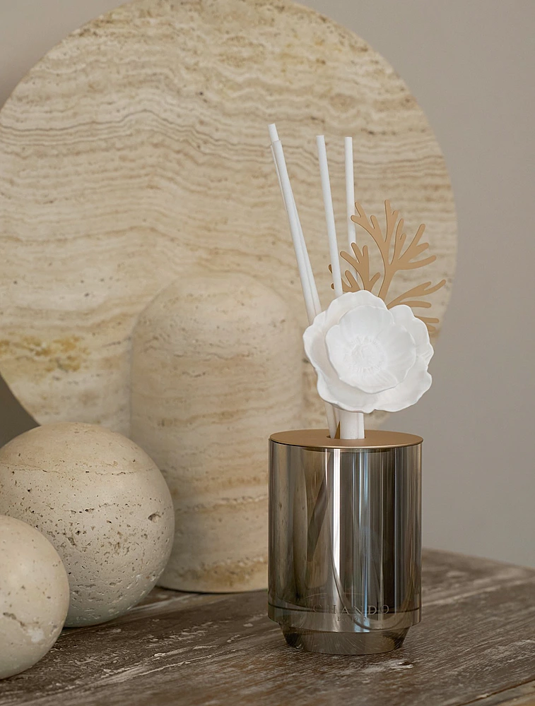 Ароматический диффузор Starry Dreams Seaside, 100 мл от Chando