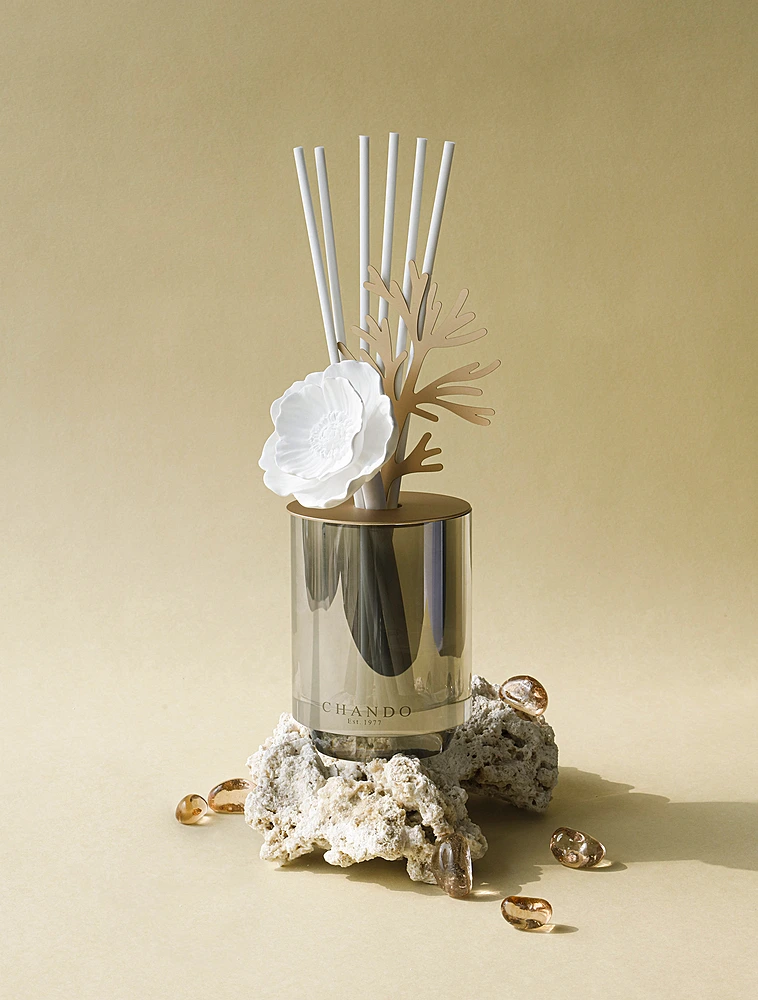 Ароматический диффузор Starry Dreams Seaside, 100 мл от Chando