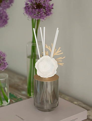 Ароматический диффузор Starry Dreams Seaside, 100 мл