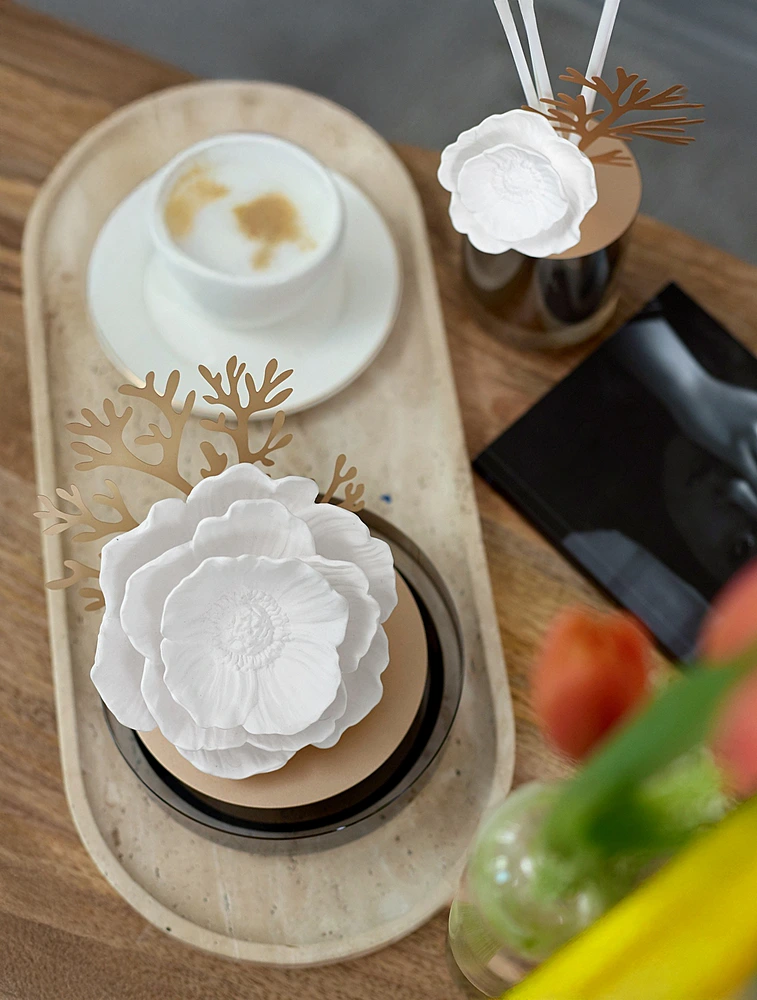 Ароматический диффузор Starry Dreams Sea Anemones, 100 мл от Chando