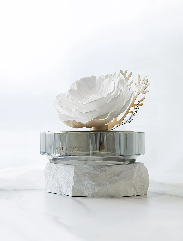 Ароматический диффузор Starry Dreams Sea Anemones, 100 мл от Chando