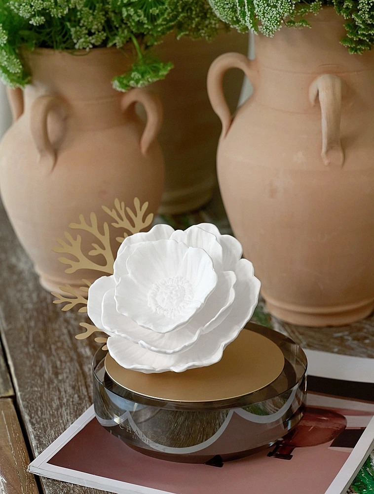 Ароматический диффузор Starry Dreams Sea Anemones, 100 мл от Chando