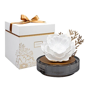 Ароматический диффузор Starry Dreams Sea Anemones, 100 мл