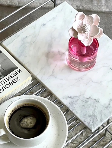 Ароматический диффузор Youth Scent Of Ardor, 100 мл