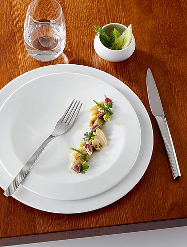 Набор столовых приборов Guest Star на 6 персон, 24 пр.