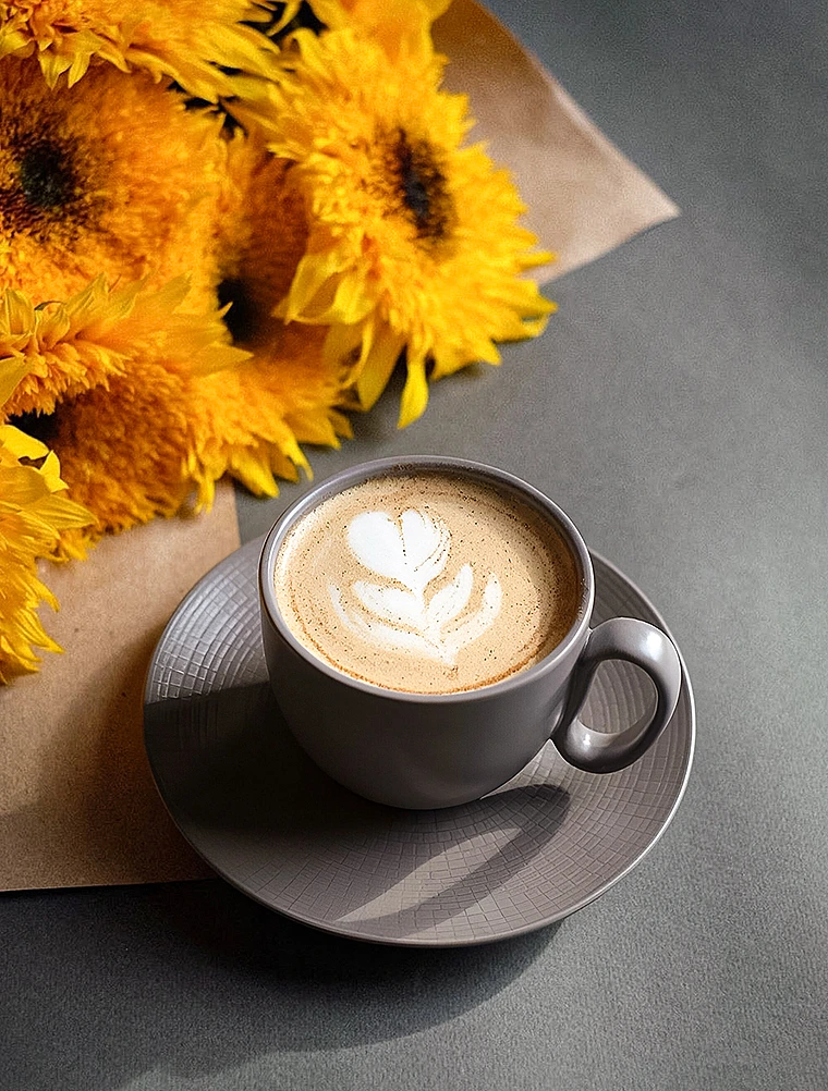 Кофейная пара Modulo Nature Terre D'Ombre, 115 мл от Degrenne