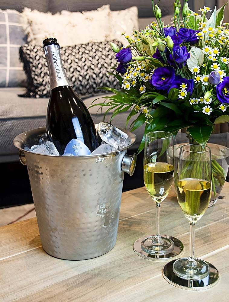 Ведро для шампанского Joey, 22 см от Edzard