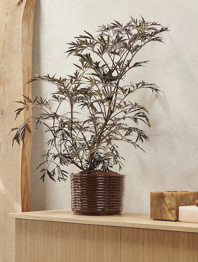 Кашпо Corduroy, 15 см от Ferm Living