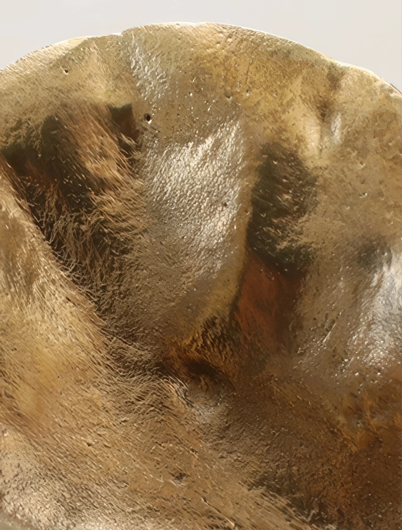 Декоративная ёмкость Oyster, 10,5x2,5 см