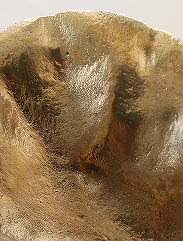 Декоративная ёмкость Oyster, 10,5x2,5 см