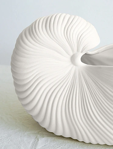 Ваза Shell, 20 см