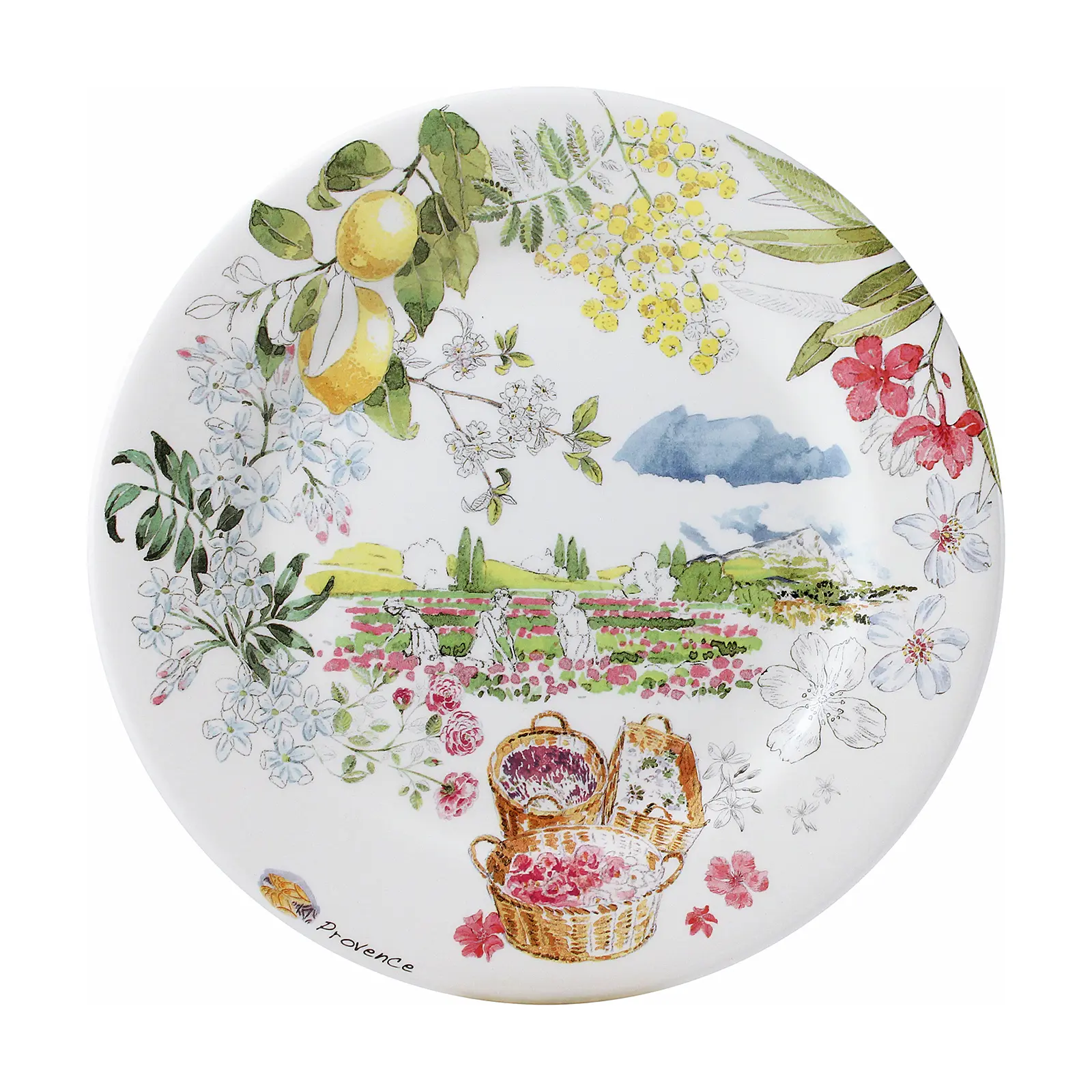 Набор из 4 закусочных тарелок Provence, 22 см