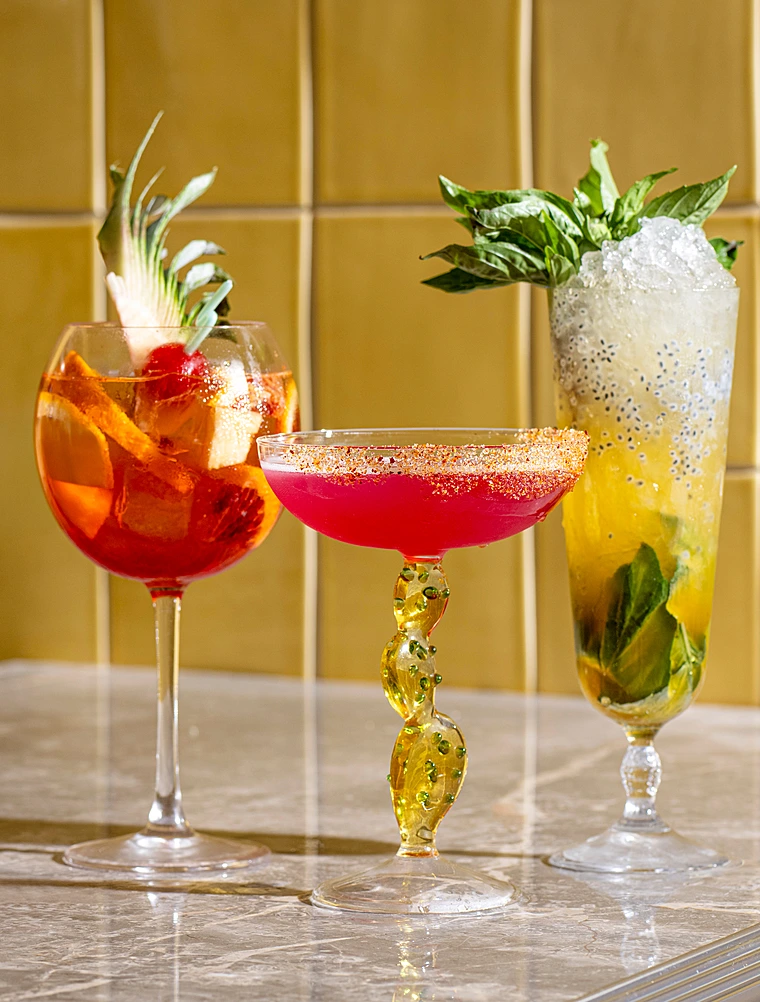 Бокал для шампанского и мартини Desert Plants, 300 мл от Ichendorf Milano