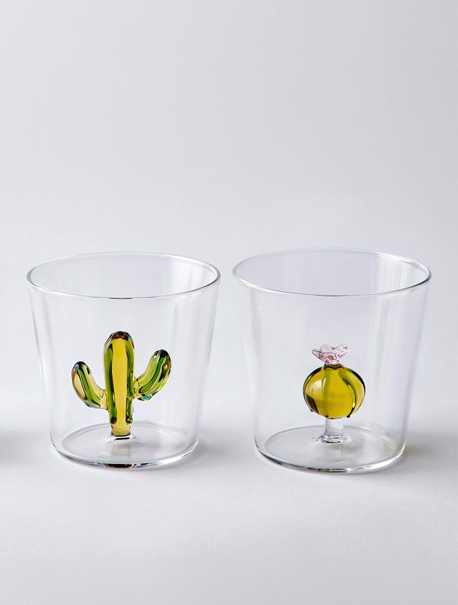 Стакан для воды Desert Plants, 350 мл