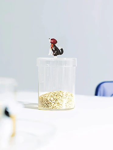 Ёмкость для хранения сыпучих продуктов Dogs, 770 мл