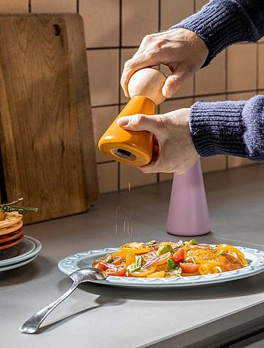 Мельница для соли и перца Halma, 15 см